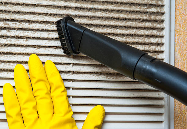 Air Duct Mold Removal in Cornell, WI